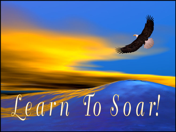 SOAR SOAR